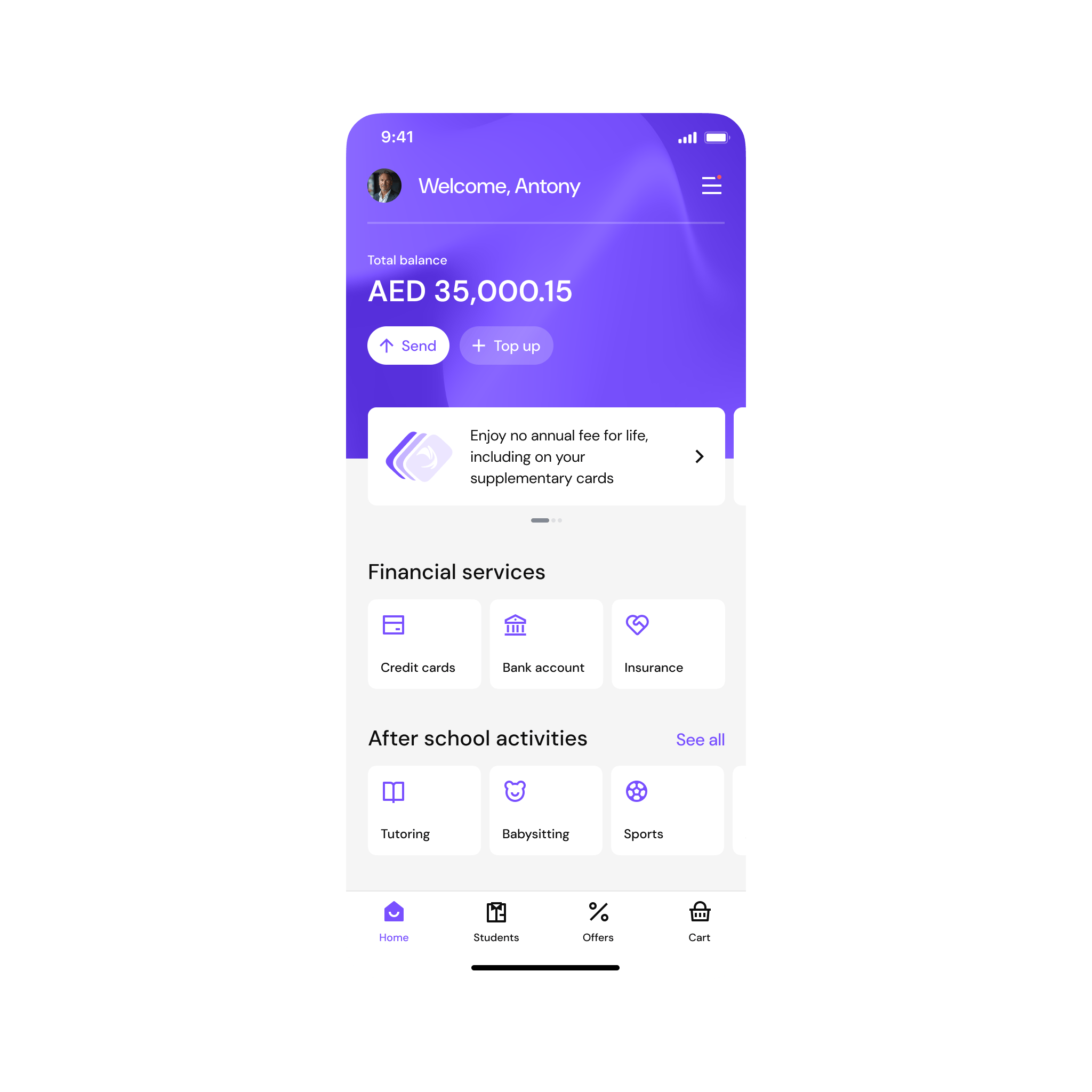 Skiply marketplace interface before the redesign